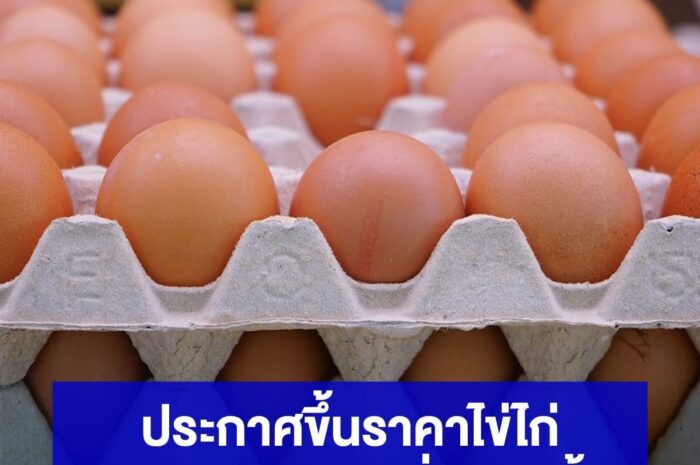 “ไข่ไก่”ขึ้นราคาแผงละ 9 บาท ทั้งปลีก – ส่ง เริ่มพรุ่งนี้