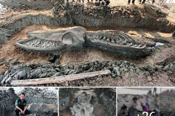 39-foot-long, 5,000-year-old monster found in Thailand: Remarkably well-preserved for everyone’s surprise