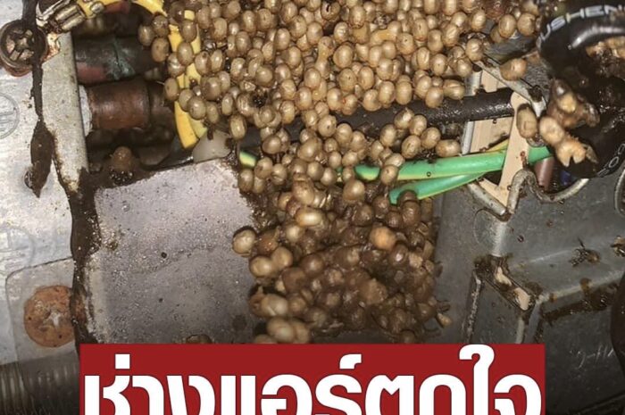 ช่างแอร์ขนลุก โพสต์ถามตัวอะไร อยู่ในแอร์ห้องนอนลูกค้า ชาวเน็ตแห่เฉลย