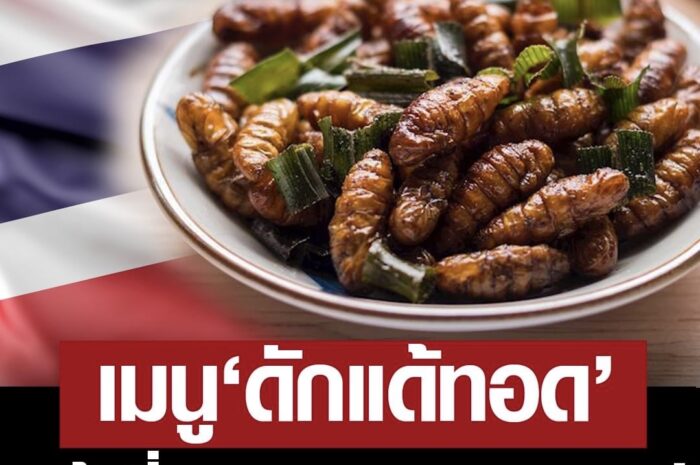 อึ้ง! “ดักแด้-หนอนไหมทอด” จากไทย คว้าที่ 2 อาหารทอดยอดแย่ ที่ 1 กัมพูชา