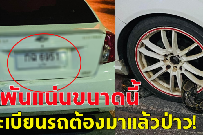 หนุ่มตกใจ นึกว่าโดนตำรวจล็อคล้อ ที่ไหนได้ งูตัวเขื่องพันล้อรถแน่น