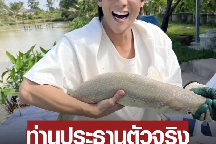 ประธานบริษัทตัวจริง! พี่จอง ตอบแล้วมีอาชีพอะไรที่เกาหลี แซวเสี่ยจองแล้ว