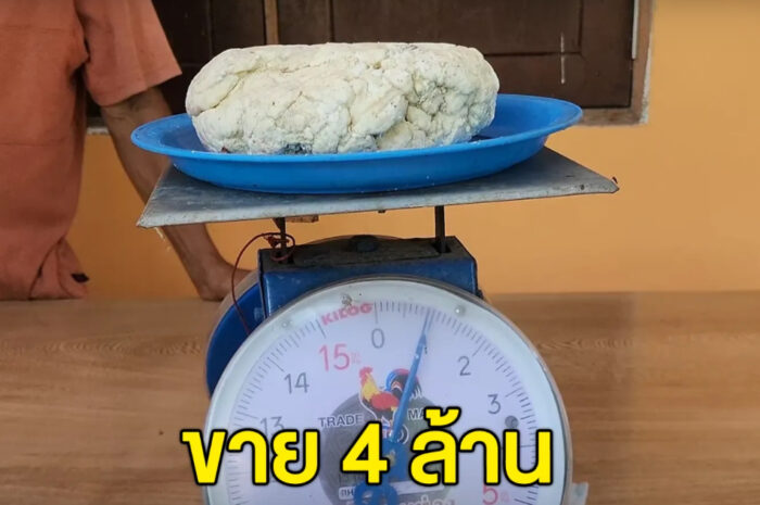 สุดดีใจลุง 61 ปี พบอำพันทะเล อ้วกวาฬ ทะเลตราด ประกาศขาย 4 ล้านบาท