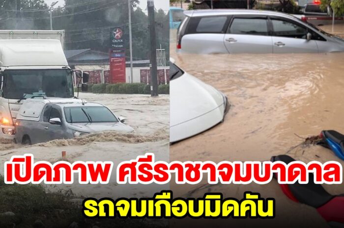 เปิดภาพศรีราชาจมบาดาล หลังพายุฤดูร้อนทำพิษ รถจมเกือบมิดคัน