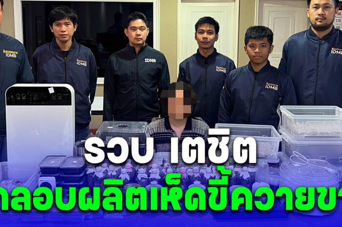 รวบ เตชิต หนุ่มสถาปัตย์ ลักลอบผลิตเห็ดขี้ควายขาย