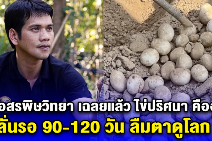 นิก อสรพิษวิทยา เฉลยแล้ว ไข่ปริศนา คืออะไร ลั่นรอ 90-120 วัน ลืมตาดูโลก