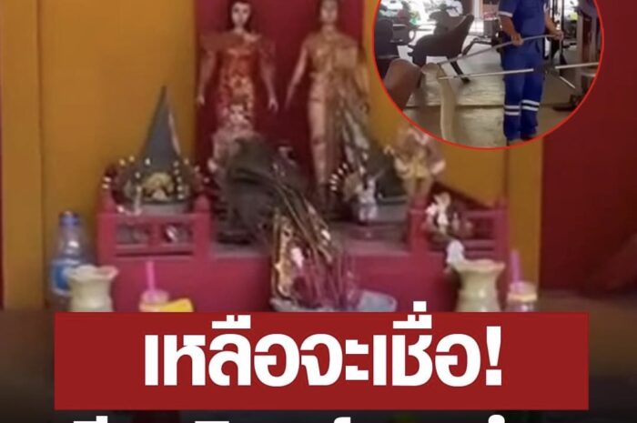 เหลือจะเชื่อ! หนุ่ม 44 ผวาจิตตก จงอางยักษ์เกือบ 6 เมตรมาเป็นวันที่ 4 เข้าบ้านเลขที่ 444 หมู่ 4