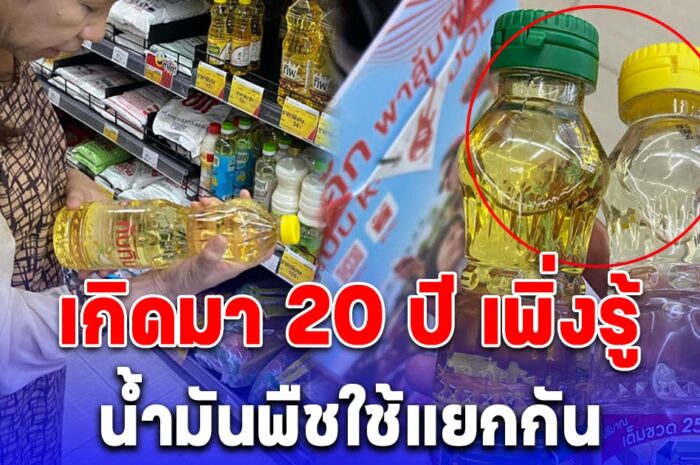 หนุ่มพาแม่มาซื้อของเข้าครัว เกิดมา 20 ปี เพิ่งรู้ว่าน้ำมันพืชใช้แยกกัน