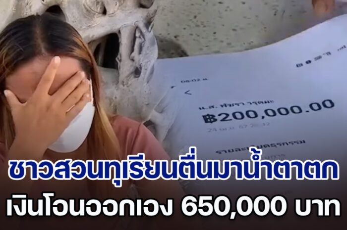 ชาวสวนทุเรียนน้ำตาตก ตื่นมาเงินโอนออกเอง 650,000 บาท