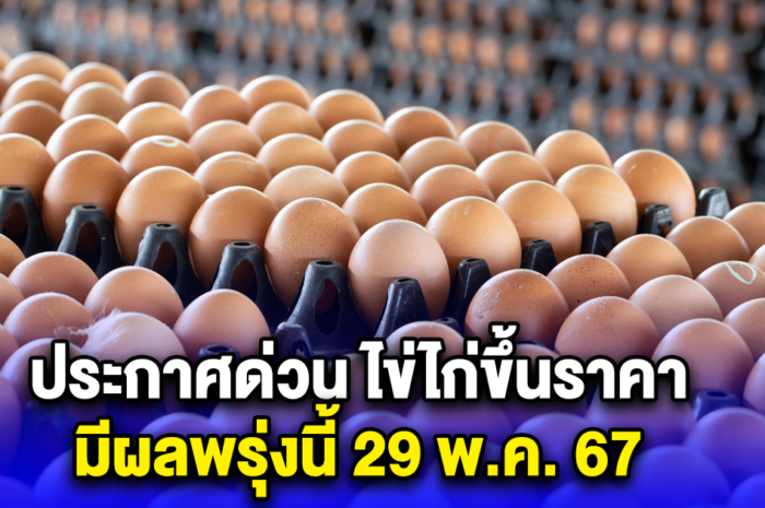 ประกาศด่วน ไข่ไก่ขึ้นราคา มีผลพรุ่งนี้ 29 พ.ค. 67