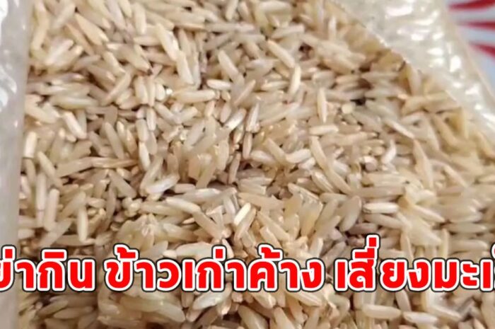 นักวิชาการเตือน อย่ากิน ข้าวเก่าค้าง เสี่ยงมะเร็ง