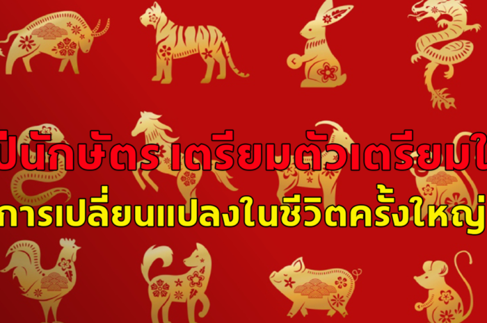 หนัก ปีมะเส็ง และปีกุน 2 ปีนักษัตร เตรียมตัวเตรียมใจ การเปลี่ยนแปลงในชีวิตครั้งใหญ่ ที่จะส่งผลต่อตัวเองไปอีก 6-12 ปี