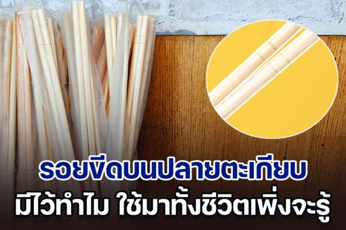 เฉลยแล้ว! รอยขีดบนปลายตะเกียบ มีไว้ทำไม ใช้มาทั้งชีวิตเพิ่งจะรู้