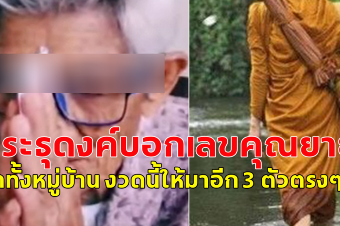 แนวทางปู่ธุดงค์ 1 มิถุนายน 67 โปรดใช้วิจารณญาณ