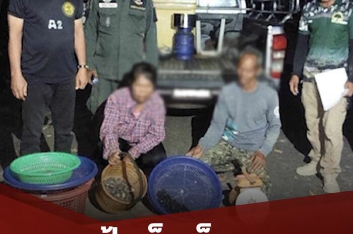 งานเข้าลุงป้าเก็บ ‘เห็ดน้ำเต้าดิน’ ในป่า ถูกจับมีความผิด