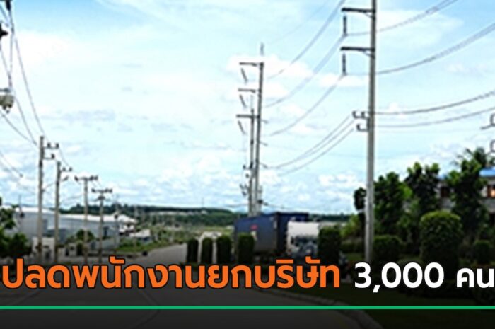 บริษัทดังศรีราชา ปลดพนักงานยกบริษัท 3,000 คน ทำงานเดือนนี้เดือนสุดท้าย