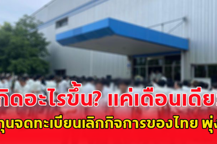 ทุนจดทะเบียนเลิกกิจการของไทย พุ่ง 5.4 หมื่นล้าน เพิ่มขึ้น 975% สวนทางธุรกิจ Art Toy