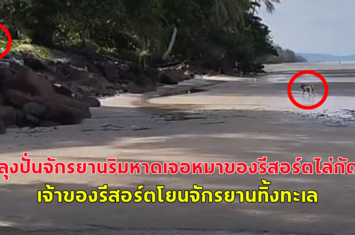 ลุงวัย 60 ปั่นจักรยานริมหาด เจอหมาของรีสอร์ตไล่กัด เจ้าของรีสอร์ตผลักลุงล้มบาดเจ็บ-โยนจักรยานทิ้งทะเล