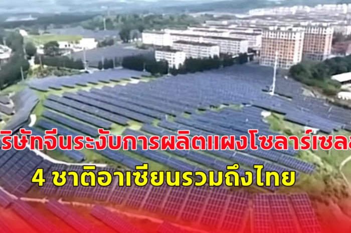 บริษัทจีนระงับการผลิตแผงโซลาร์เซลล์4 ชาติอาเซียนรวมถึงไทย