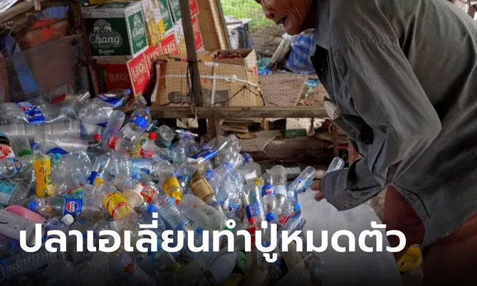 ปู่วัย 77 เก็บขวดขายประทังชีวิต อึ้งสาเหตุบั้นปลายลำบาก หมดตัวเพราะ “ปลาหมอคางดำ”