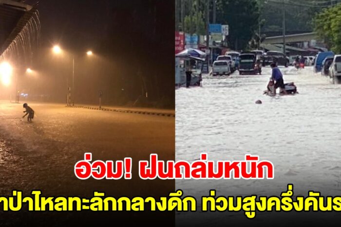 อ่วม! ฝนถล่มหนัก น้ำป่าไหลทะลักกลางดึก ท่วมสูงครึ่งคันรถ