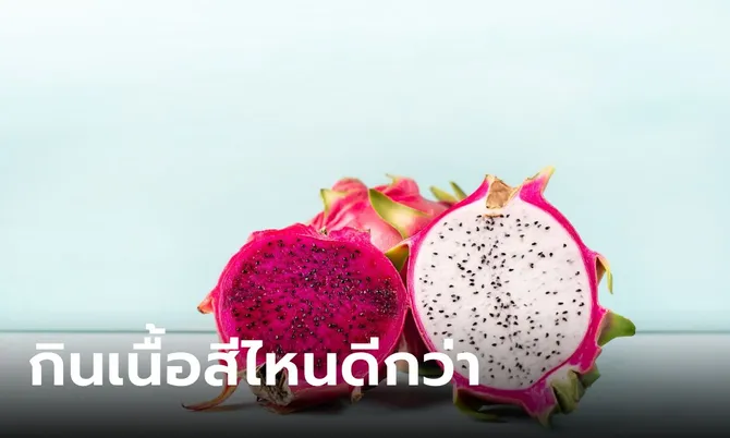 “แก้วมังกรเนื้อขาว” กับ “แก้วมังกรเนื้อแดง” ต่างกันอย่างไร กินแบบไหนดีกว่า