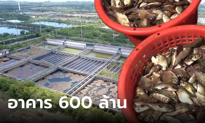 อึ้ง..อาคาร 600 ล้าน ตอนนี้ถูกทิ้งร้าง เข้าไปแทบช็อก นี่มันสวรรค์ของ “ปลาหมอคางดำ”