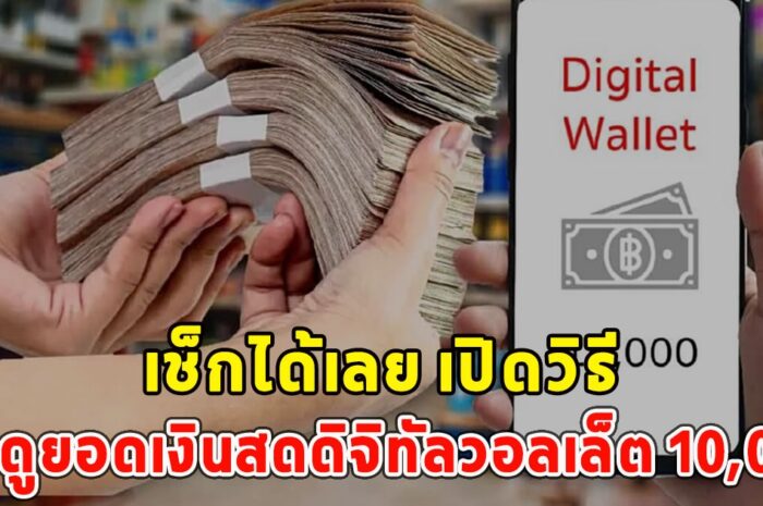 เช็กได้เลย เปิดวิธีขอดูยอดเงินสดดิจิทัลวอลเล็ต 10,000