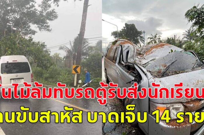 อุบัติเหตุลมแรงพัดต้นไม้ใหญ่โค่นลงมาทับรถตู้รับส่งเด็กนักเรียน คนขับสาหัส นักเรียนบาดเจ็บ14 ราย