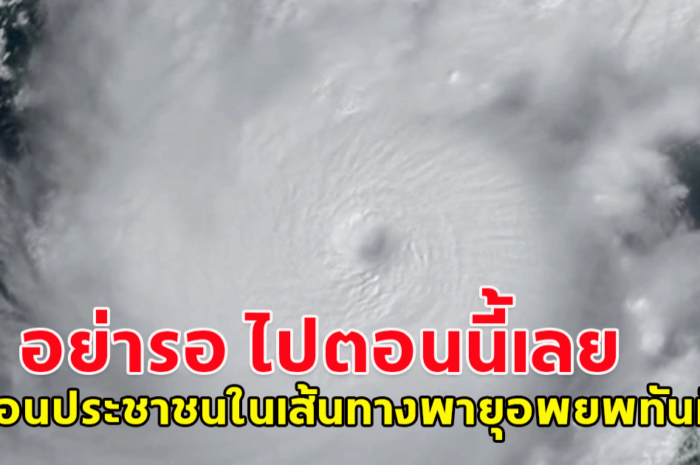 เตือนประชาชนในเส้นทางพายุเคลื่อนผ่านอพยพทันที  อย่ารอ ไปตอนนี้เลย เฮอร์ริเคน มิลตัน รุนแรงระดับ 5 จ่อขึ้นฝั่งฟลอริดา (ข่าวต่างประเทศ) เตือนประชาชนในเส้นทางพายุเคลื่อนผ่านอพยพทันที อย่ารอ ไปตอนนี้เลย เฮอร์ริเคน มิลตัน รุนแรงระดับ 5 จ่อขึ้นฝั่งฟลอริดา (ข่าวต่างประเทศ)