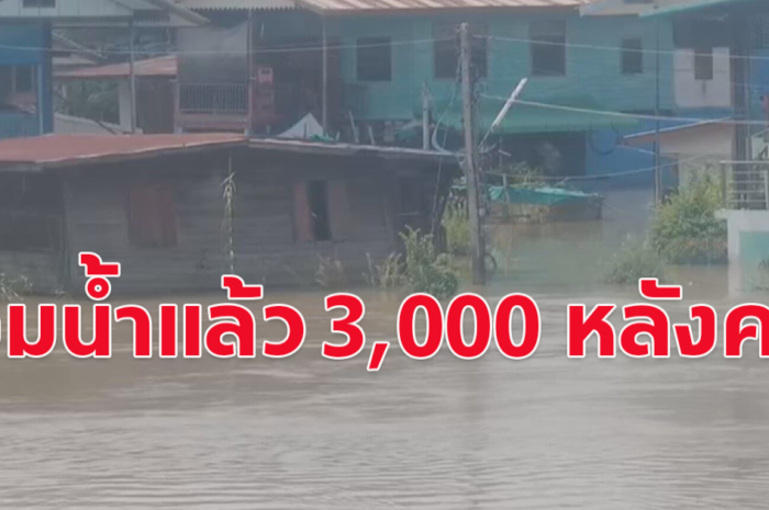 จมน้ำแล้วกว่า 3,000 หลังคาเรือน พิจิตรอ่วม น้ำยมเพิ่มสูง หลากท่วมชุมชน